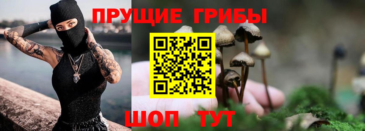 Псилоцибиновые грибы Psilocybe  Вход с VPN  Омск 